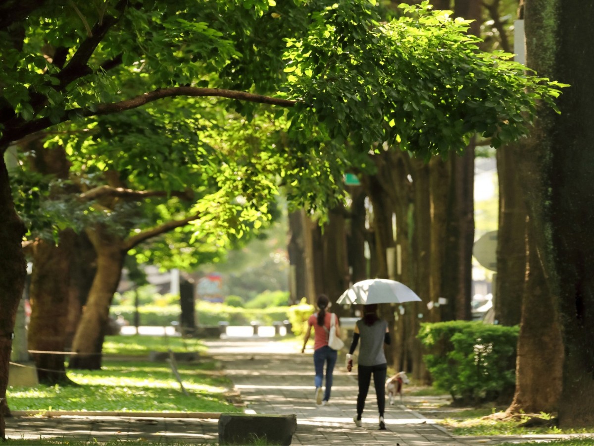 市政生態園道